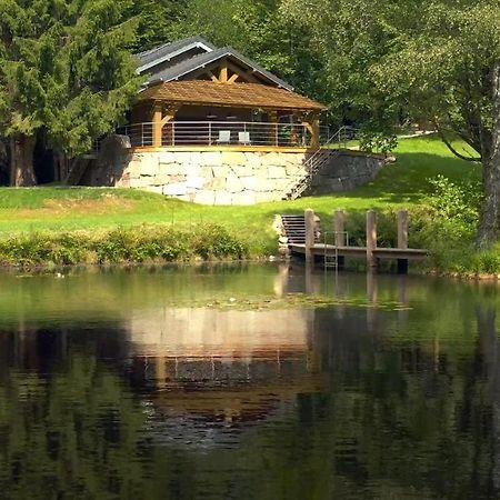 L'Ilet Aux 2 Etangs Villa Saint-Nabord Exterior photo